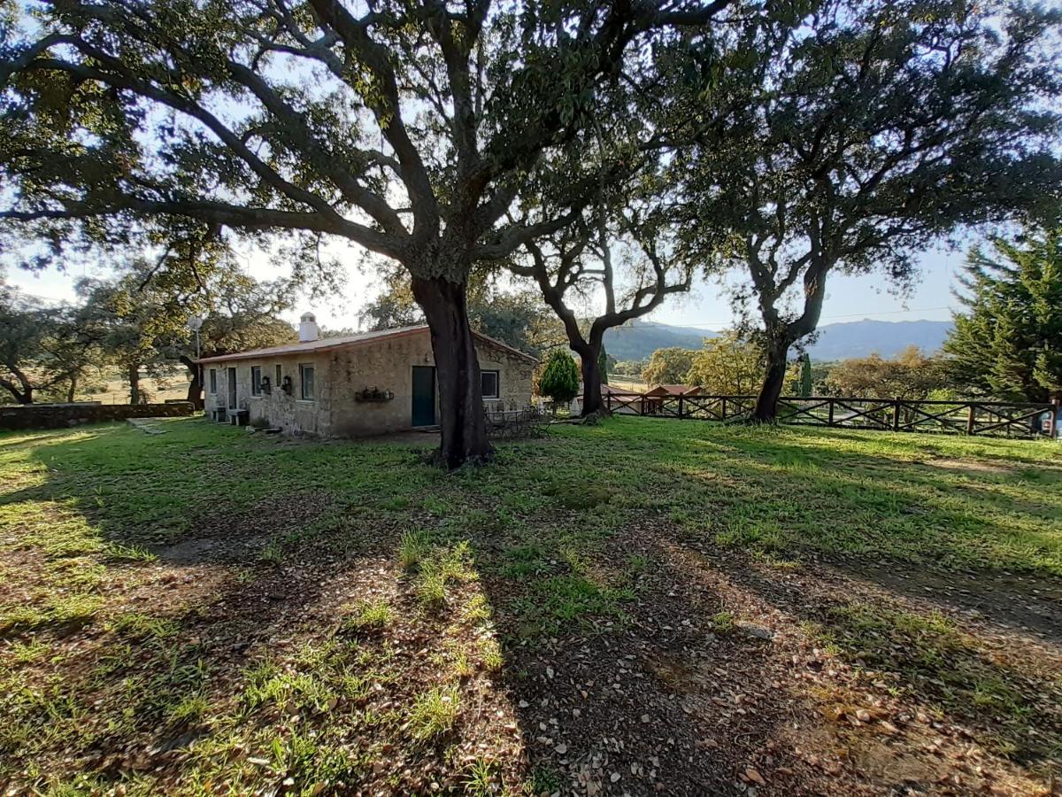 Villa Casa Da Vinha Castelo Novo Exterior foto