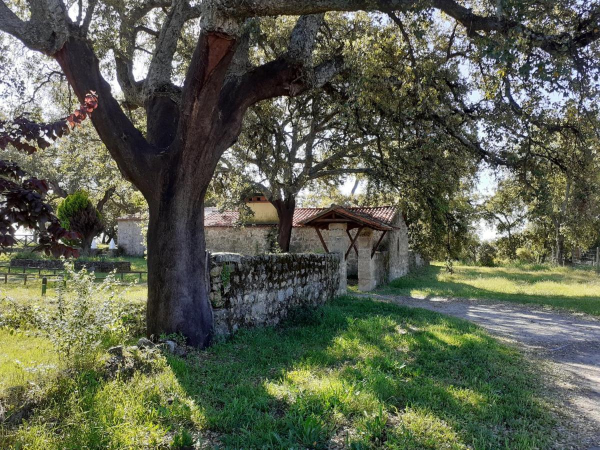 Villa Casa Da Vinha Castelo Novo Exterior foto