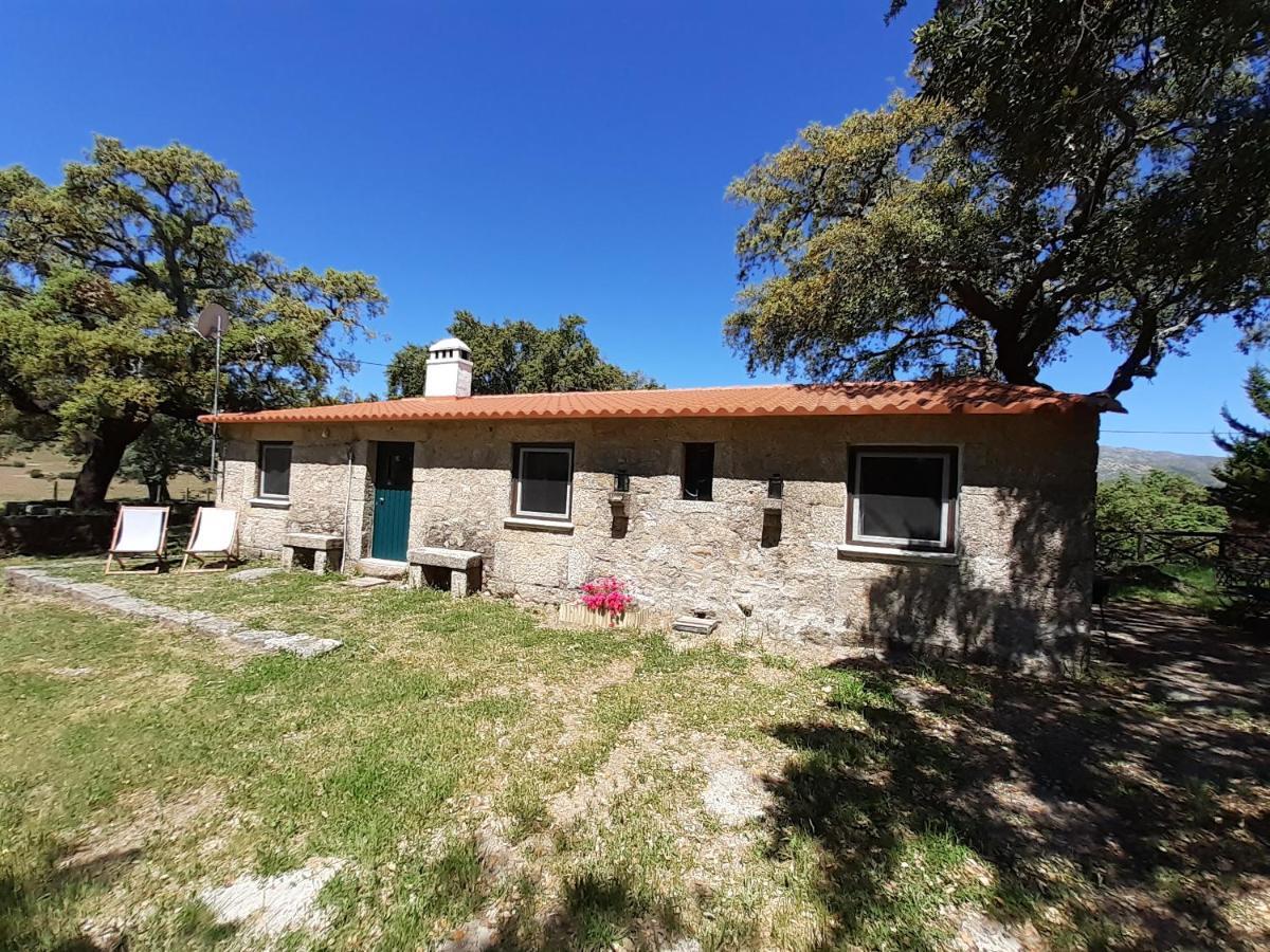 Villa Casa Da Vinha Castelo Novo Exterior foto